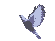 Bird1